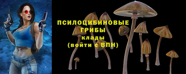 Альфа ПВП Верхнеуральск
