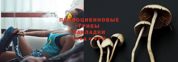 a pvp Верея