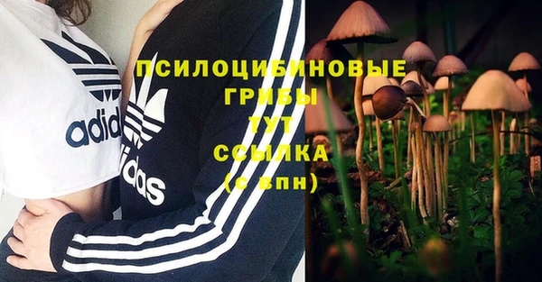 MDMA Premium VHQ Верхний Тагил