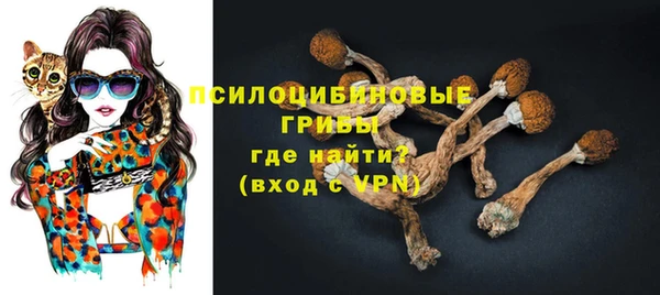 a pvp Верея